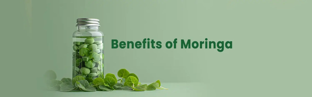 Benefits of Moringa: 15 Science-Backed Health Benefits, Uses, Side Effects & Dosage