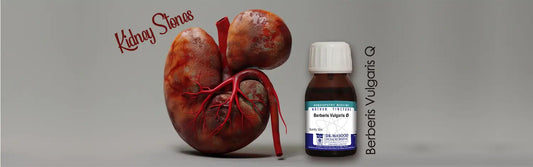 Berberis Vulgaris for Kidney Stones