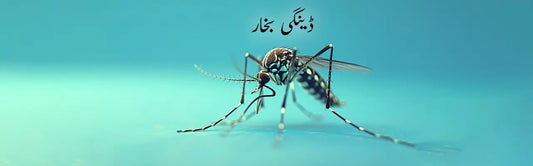 ڈینگی بخار