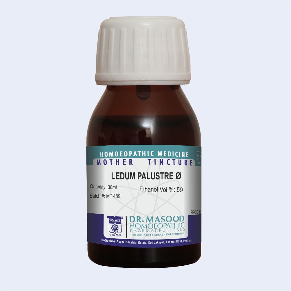 Ledum Palustre Q - Homeopathic medicine- dr-masood-homeopathic pharma