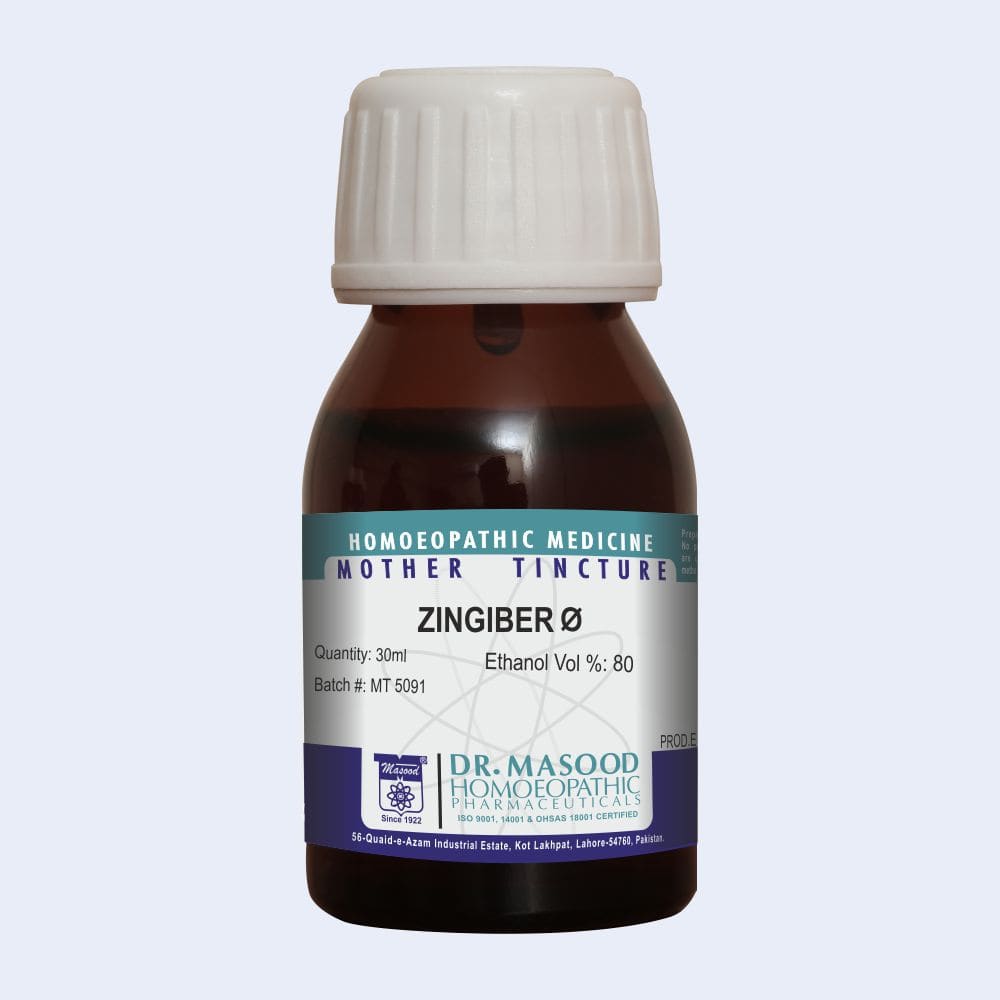 ZINGIBER (MASOOD)